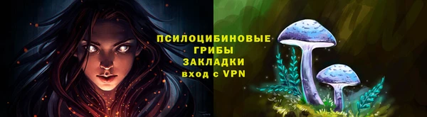 МДПВ Арсеньев