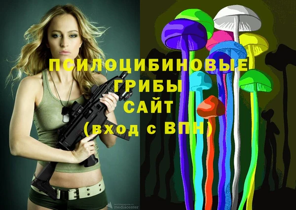 MDMA Premium VHQ Аркадак