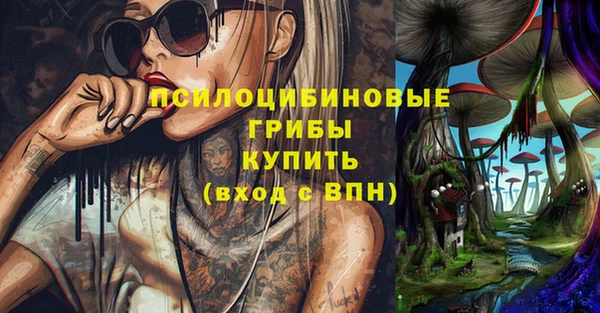 тгк Зеленодольск